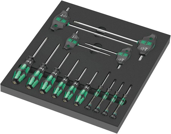 Schraubendreher Set WERA TORX® 14-teilig in Schaumstoffmodul