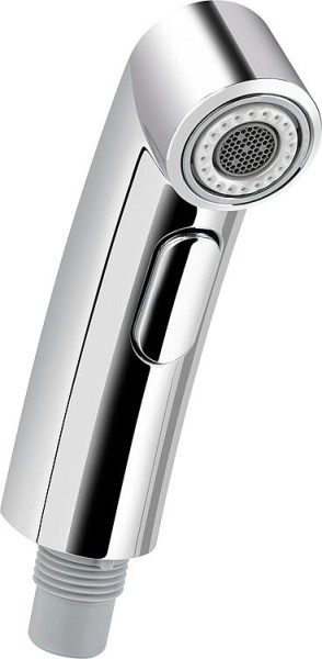 GROHE Ersatzspülbrause Dual chrom