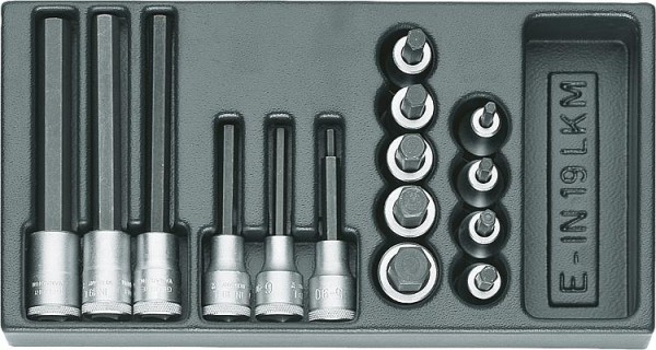 Satz Schraubendrehereinsatz GEDORE 15-teilig 1/2" in ABS- Kunststoff Modul