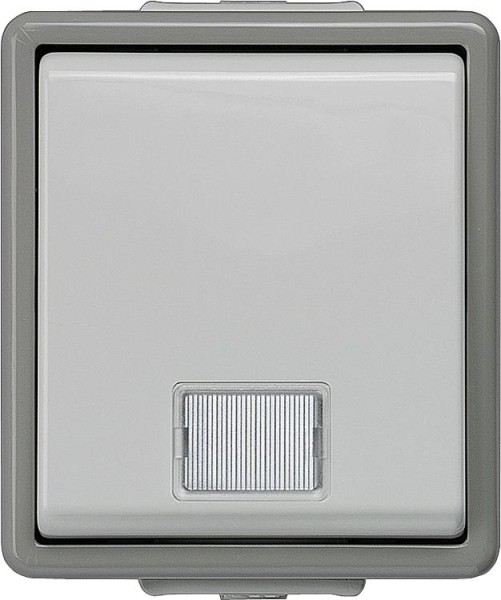 Siemens Aufputz Kontrollschalter für Ausschaltung mit Fenster 75 mm x 66 mm x 54 mm/ IP44/1 Stk.